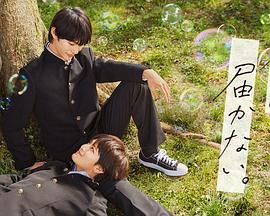 无所不能的网站优化工具